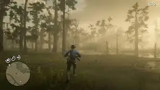 Man getting killed by an alligator in rdr2