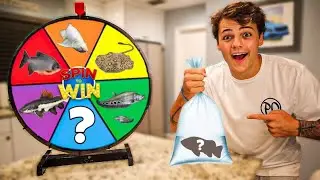 SPIN the WHEEL & BUY EXOTIC FISH it Lands On!! *OMG*
