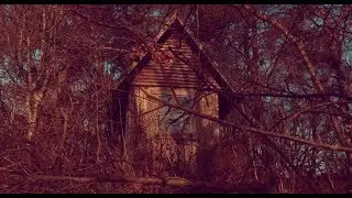 Wood Chips - Golden Arrows (Official Music Video)