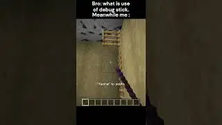Minecraft debug stick moment & tricks