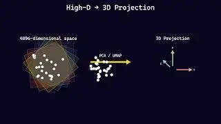 The Shape of a Thought: Entropy Explained 🧠 / Forma unui G&acirc;nd: Entropia Explicată 🧠
