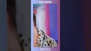 Trinity The Tuck being an Awesome Sister to Jinkx Monsoon.