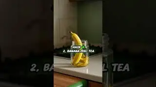 Dorm Plant Feeding Hack &ndash; 3 Nutrients in 3 Items