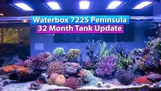 WaterBox 7225 32 Month Reef Tank Update