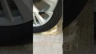 Crushing Crunchy & Soft Things by Car VS Noodles - #Shorts