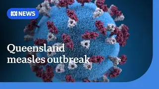 Queensland's measles outbreak grows | ABC NEWS