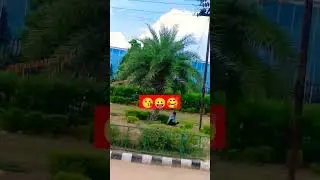 NIMS Hospital #short #videos #jaipur #viral