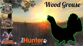 the Hunter Classic: Wood Grouse