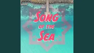 Beach Feeling