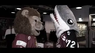 Düssi unterstützt die Haie - was sagt Sharky dazu?