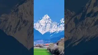 standing in a serene valley, surrounded by rolling fields of lush, vibrant green grass.