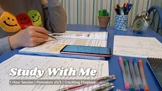1 HR Study With Me | Pomodoro 25/5 | No Music | Crackling Fireplace & Background Noise