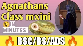 Agnathans|| Class myxini|miller harley zoology Hagfishes|#zoology by miller and harley
