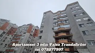 Apartament Valea Trandafirilor