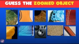 Guess the Zoomed Objects 🔍 | Can You Identify Them All? | Brain Test Quiz | QuizziWoo