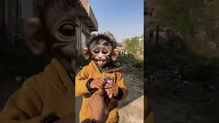 🙀 ye billi ye dekh 🐱 vivan funny face 💥#trending
