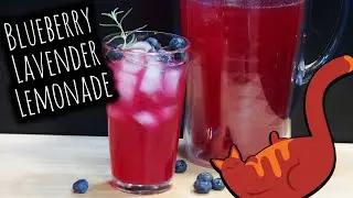 Blueberry Lavender Lemonade | Super Easy and Tasty Summer Drink