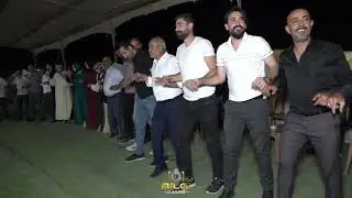 Velat Budak Govend
