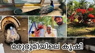Al Rahba Farm| Organic farm in Abudabi🌴| Weekend day out🤩