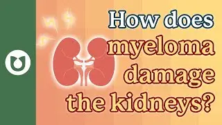 How does myeloma  and treatments used to treat this blood cancer damage the kidneys? #myeloma
