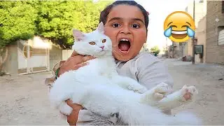 دانيه اشترت قطة جديد وضاعت شوفو شصار#تحشيش |طه البغدادي