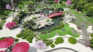 An aerial view of a Japanese Zen garden in springtime
