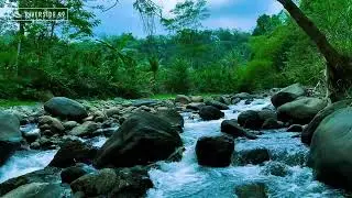 River Sounds for Sleeping | Calm Flowing Water White Noise for Deep Sleep and Stress Relief