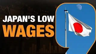 Costco's Impact: Fueling Japan's Low-Pay Economy