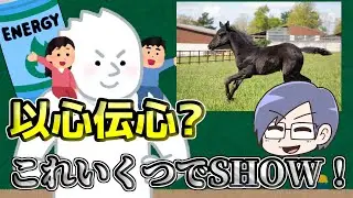 【ナンボ】隠された数字を当てろ！地獄の連想ゲーム！【でSHOW】