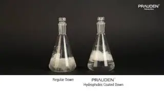 Hydrophobic Coated Down Water Repellency Test