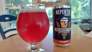 Blue Harvest Blueberry Dry-Hopped Sour Ale w/ Homebrew Recipe