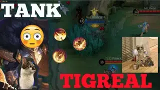 Playing games - Mobile Legends: Bang Bang - || Tigreal exe || meme cat
