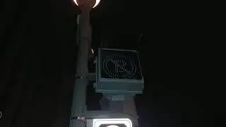 Walking down Greene Avenue in Westmount late at night