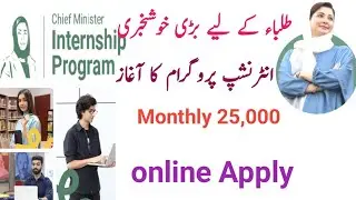 The Chief Minister Internship Program||online  apply for internship program 2024||