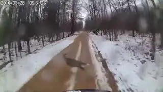Close call with deer on my dirt bike, St Helen Mi
