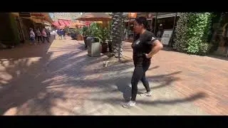 Pit Bull Training | Scout | Anaheim, CA