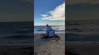 At the beach with my family - kids playing at the beach video - #shorts #kidsvideos #beach