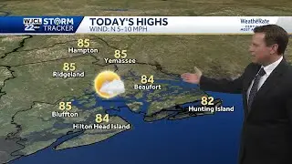Sunshine and pleasant for the Savannah area
