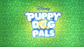 Puppy-Cam! | Puppy Dog Pals | Disney Junior
