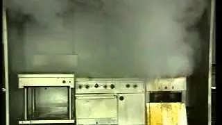 Ansul R-102 system tackles fire on Deep Fat Fyer