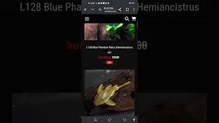 I found predatory fins 2 and leeches I hate leeches