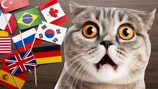 Сhipi chipi chapa chapa dubi dubi daba daba in different languages meme