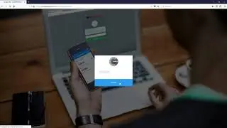 Simple PoS Pool Coins staking info