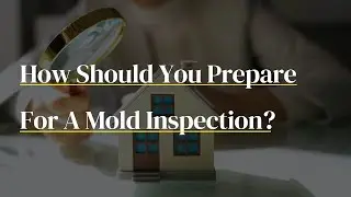 How Should You Prepare For A Mold Inspection? (Mold Inspection Rehoboth Beach Delaware)