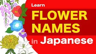 FLOWER  in Japanese - はな (Hana)  - Learn Japanese🇯🇵 For Beginner