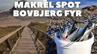 Guide - Makrel spot: Bovbjerg fyr ved vesterhavet!