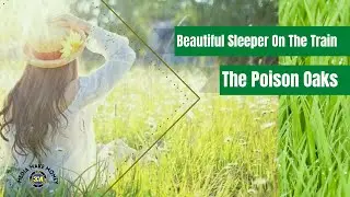 Beautiful Sleeper On The Train (Media Make Money)