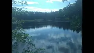pojdima - She Likes