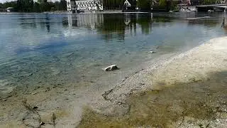 Historisches Niedrigwasser am Bodensee