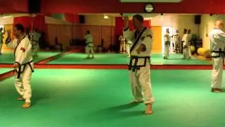 Bhang Kwon Sa Hyung